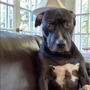 Meet your Posher, Jason